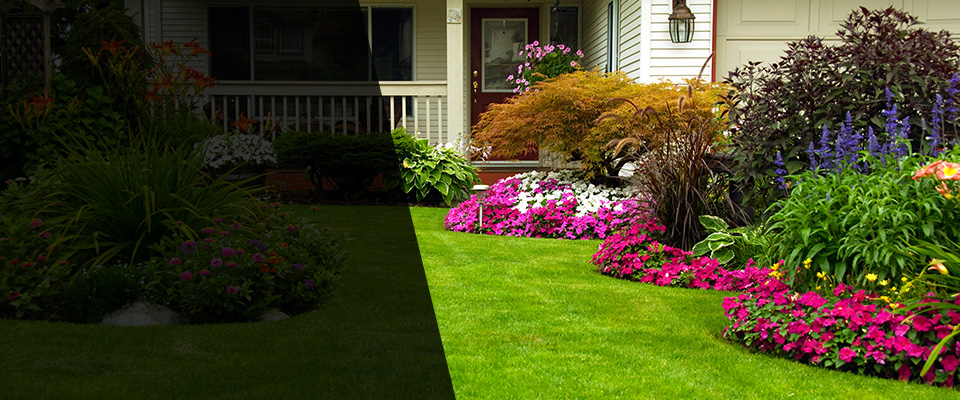 Homestead Landscapers